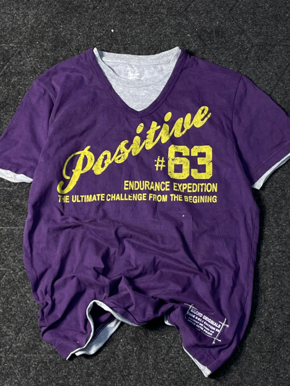 Vintage 1900s pure y2k tee