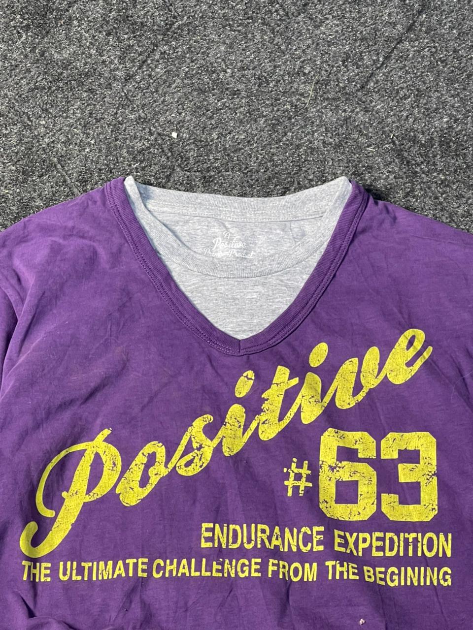 Vintage 1900s pure y2k tee