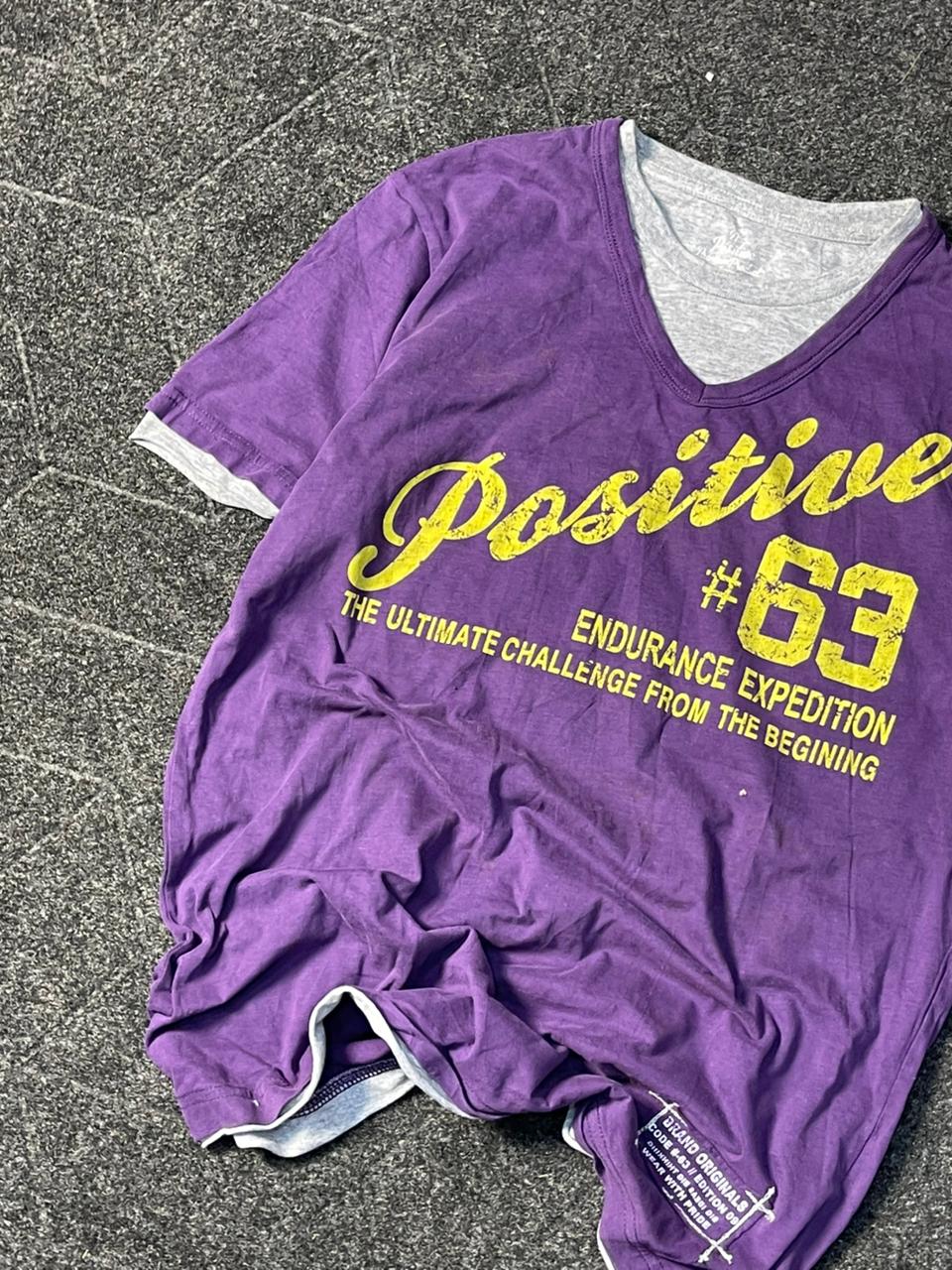 Vintage 1900s pure y2k tee