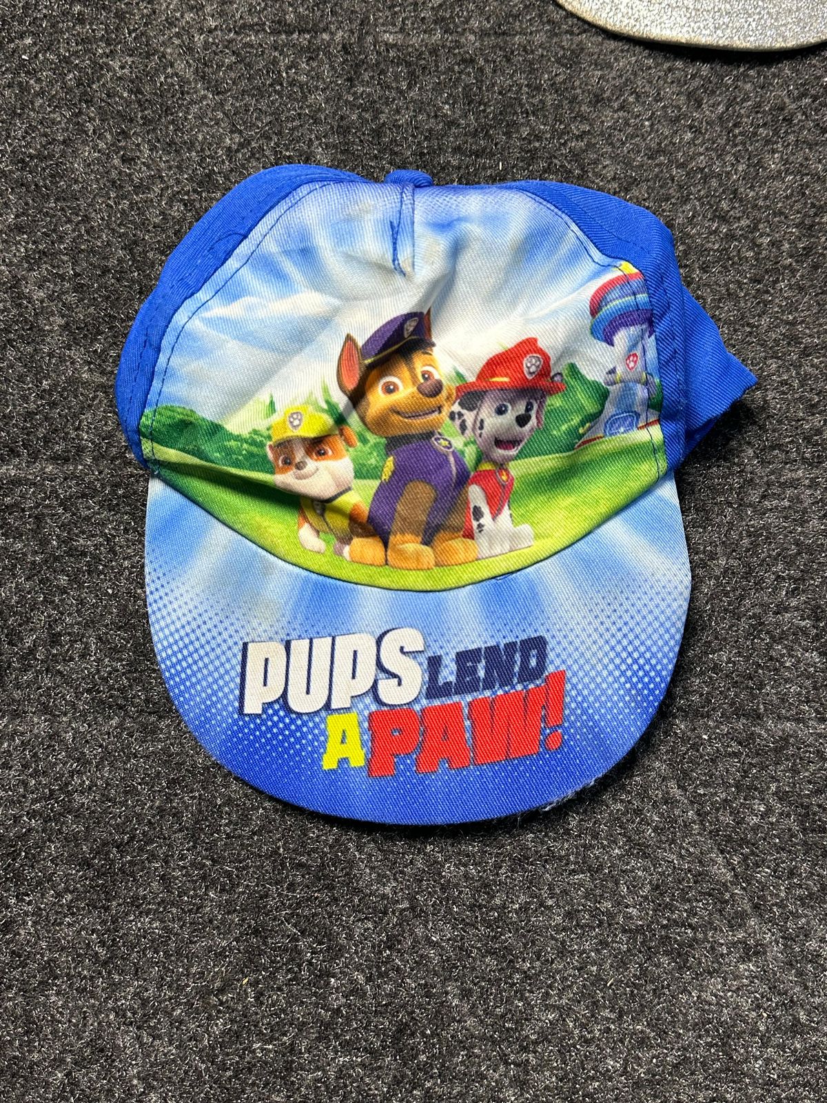 Graphic pups land cap