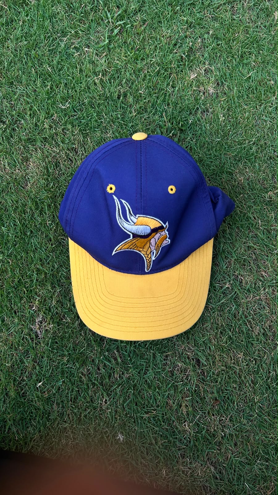 Nfl vikings cap